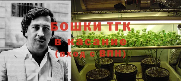 прущая мука Арсеньев