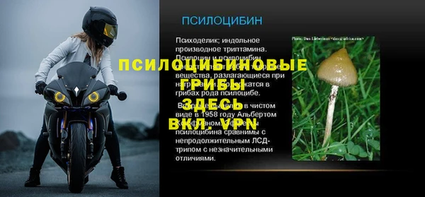 амф Заводоуковск